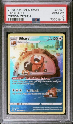 Bibarel gg25 gg70 2023 - bibarel,