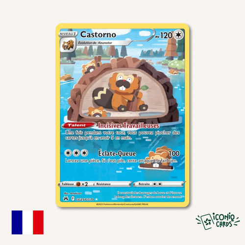 Castorno gg25 gg70 olo - gg25/gg70,