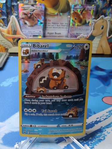 Bibarel gg25 gg70 - bibarel, gg25/gg70
