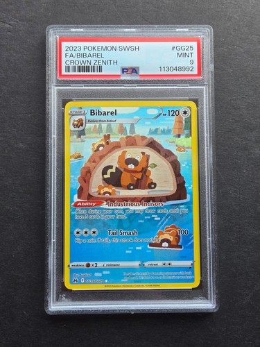 Psa bibarel gg25 gg70 - psa,