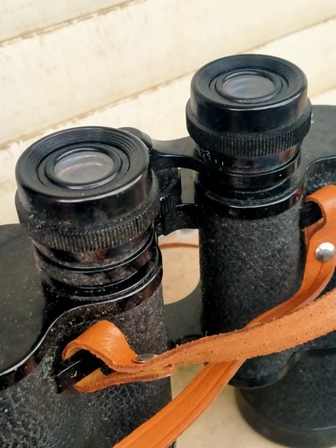 Binocolo zenith 20 anno - binocolo,